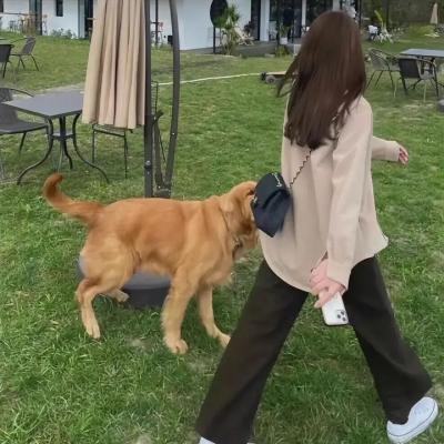 你的全部